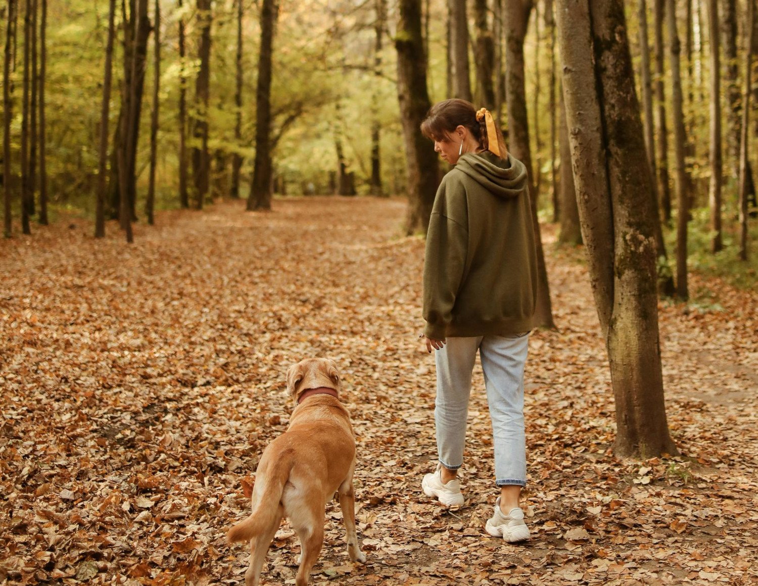 Person som promenerar i skogen en solig dag